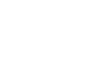 Organizator: vector+